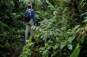 På vandring i Monteverde Cloud Forest Reserve - Costa Rica