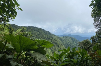 Monteverde Cloud Forest Reserve - Costa Rica