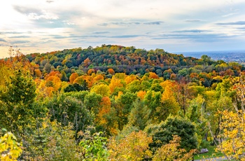 Mount Real om efteråret, Montreal i Quebec, Canada