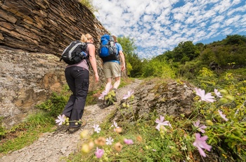 Eurohike-Moselsteig-Wanderweg.jpg