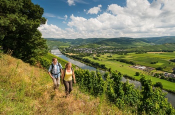 Eurohike Moselsteig-Wein-Wanderer-2.jpg