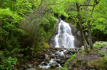 Vandfaldet Moss Glen Falls i Granville om sommeren - Vermont