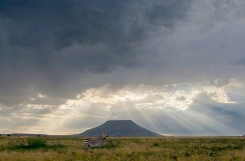 Mount Zebra National Park, Sydafrika