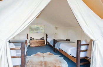 Glamping i Mount Rushmore, Telt Safari