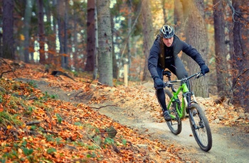 På mountainbike gennem skoven om efteråret