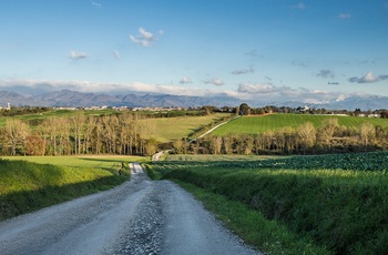 Grusvej i Mugello-området med Appeninerne i baggrunden, Toscana - Italien