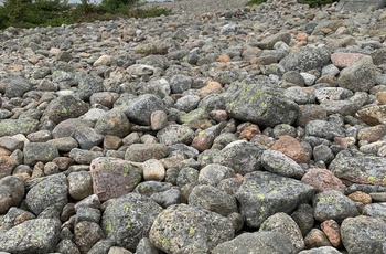 Nærbillede af sten på Mølen