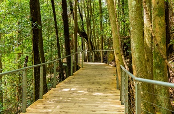 Vandreruten Scenic Walkway i Blue Mountains - New South Wales