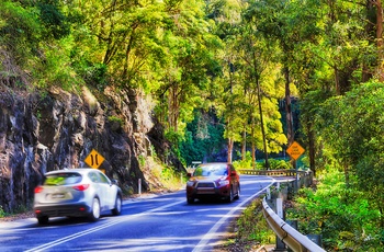 Vej mod Dorrigo National Park i New South Wales - Australien