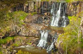 Ebor Falls i Guy Fawkes River National Park - New South Wales