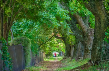 Sidegade i byen Leura, New South Wales