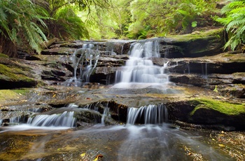 Leura Cascades - New South Wales