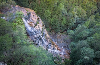 Bridal Veil Falls tæt på byen Leura - New South Wales
