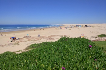 Strand nær Port Stephens - New South Wales