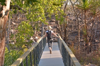 Vandretur i Litchfield National Park - Northern Territory