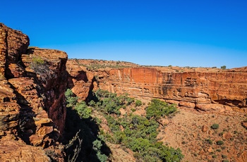 Kings Canyon i Watarrka National Park, Northern Territory - Australien