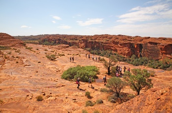 Grupper på vandring til Kings Canyon i Watarraka National Park, Northern Territory - Australien