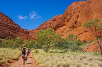 Grupper på vandring til Kings Canyon i Watarraka National Park, Northern Territory - Australien