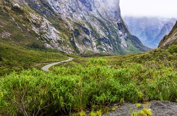 Milford Road på New Zealands Sydø