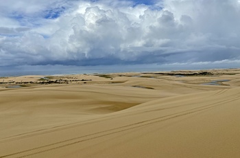 Stockton Dunes nær Port Stephens - New South Wales