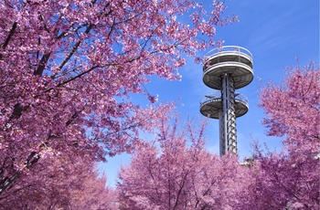 Flushing Meadows Corona Park i New York