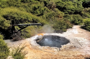 Varme kilder i New Zealand blev brugt til at tilberede Hangi - Maori mad i New Zealand