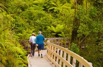 Par på vandretur gennem regnskov til Hokitika kløften og floden, Sydøen i New Zealand