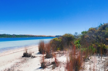 Strand ved Kai Iwi søerne på Nordøen, New Zealand