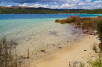 Strand ved Kai Iwi søerne på Nordøen, New Zealand