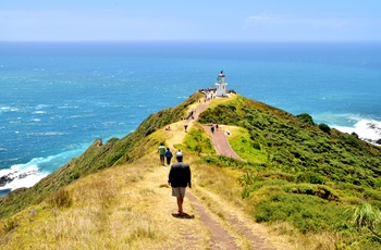 Turister på vej til fyrtårnet på Cape Reinga, New Zealands Nordø