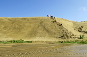 Sandklitter nær Cape Reinga, New Zealands Nordø