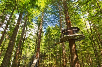 Giant Redwoods Treewalk i Whakarewarewa skoven nær Rotorua, Nordøen i New Zealand