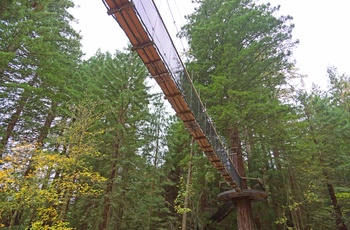 Giant Redwoods Treewalk i Whakarewarewa skoven nær Rotorua, Nordøen i New Zealand