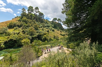 Turister nyder Blue Spring og Te Waihou Walkway - Nordøen i New Zealand