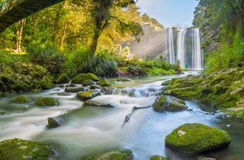 Vandfaldet Whangarei Falls på New Zealands Nordøg