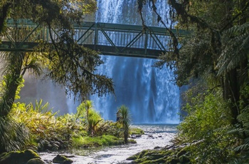 Vandfaldet Whangarei Falls på New Zealands Nordø