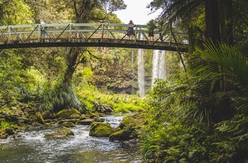 Turister ser andfaldet Whangarei Falls fra en bro, New Zealands Nordø