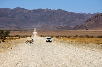 På roadtrip i Namibia - Foto: Birger Strahl, Unsplash
