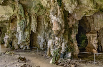 Naracoorte Caves National Park, South Australia