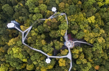 Nationalpark Hainich Baumkronenpfad