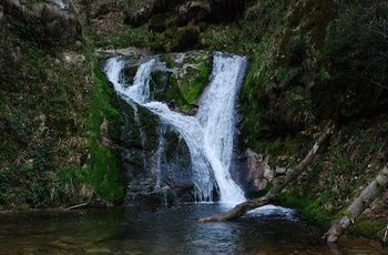 Nationalpark Schwarzwald. Allerheiligenwasserfälle © Charly Ebel