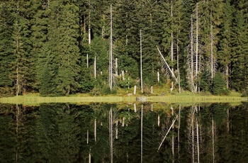 Nationalpark Schwarzwald. WilderSee © Charly Ebel