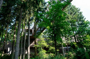 Nationalparkzentrum Ruhestein i Schwarzwald - © D. Mueller