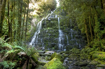 Nelson-vandfaldet i Franklin-Gordon Wild Rivers National Park - Tasmanien