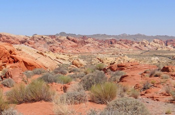 Det orangerøde landskab i Valley of Fire State Park i Nevada - USA
