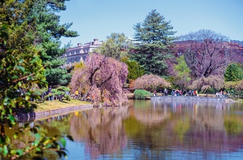 Den botaniske have i Brooklyn, New York