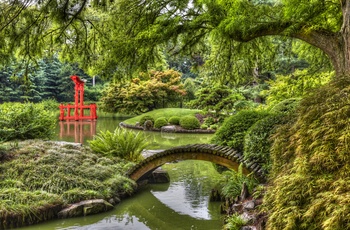 Den japanske have i den botaniske have i Brooklyn, New York