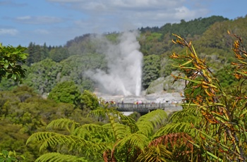 Gejser ved Te Puia New Zealand Maori Arts and Crafts Institute, Rotorua