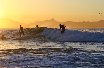 Surfere i solnedgang ved Byron Bay, New South Wales, Australien