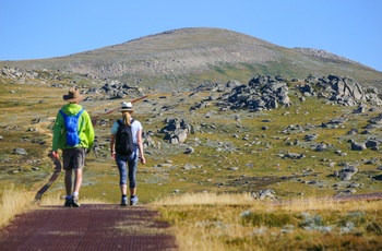 Vandretur mod toppen af Mount Kosciuszk, Australien